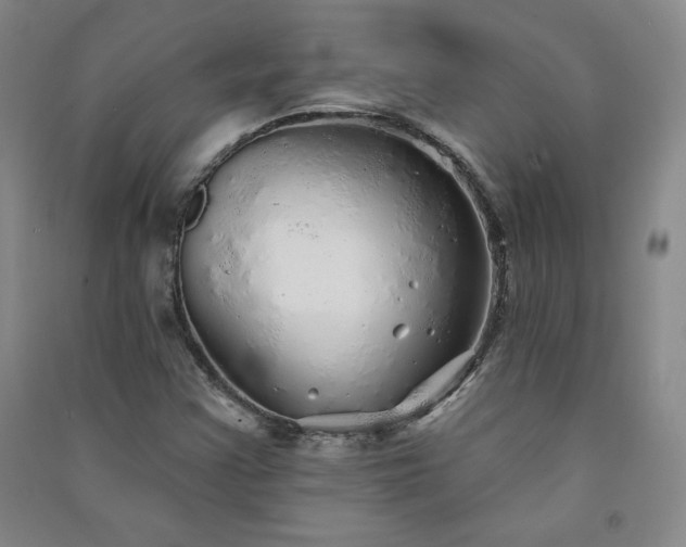 X0000091331355200708171342