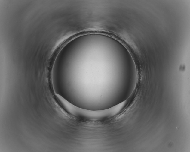 X0000091331356200708171342