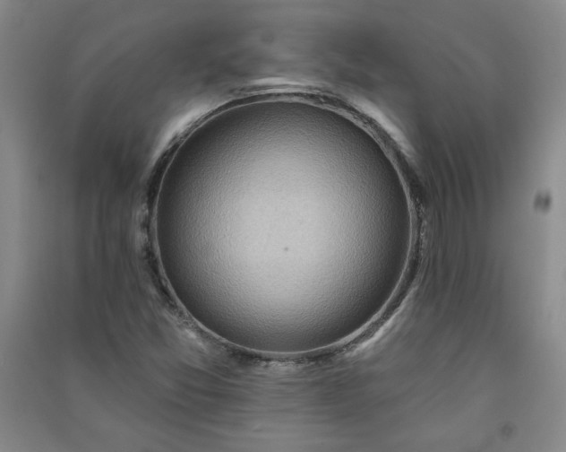 X0000091331357200708171342