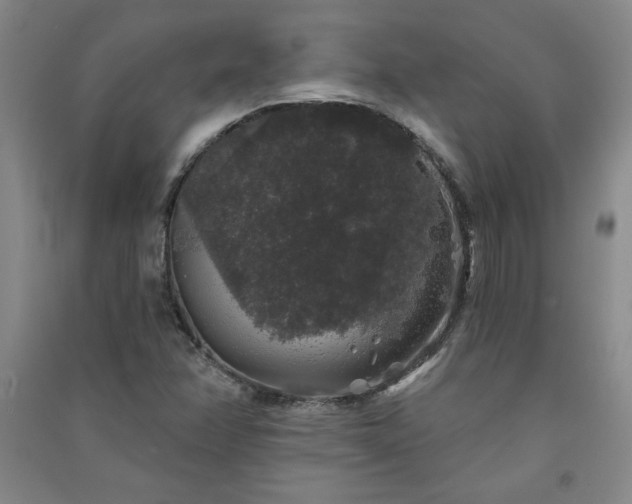 X0000091331358200708171342