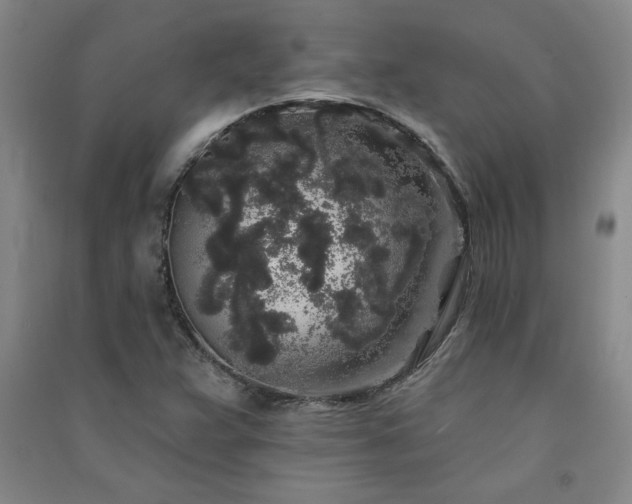 X0000091331359200708171342