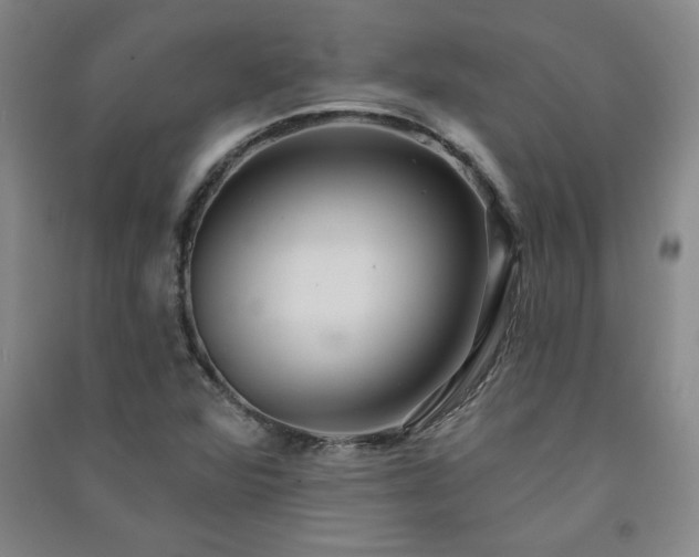 X0000091331360200708171342