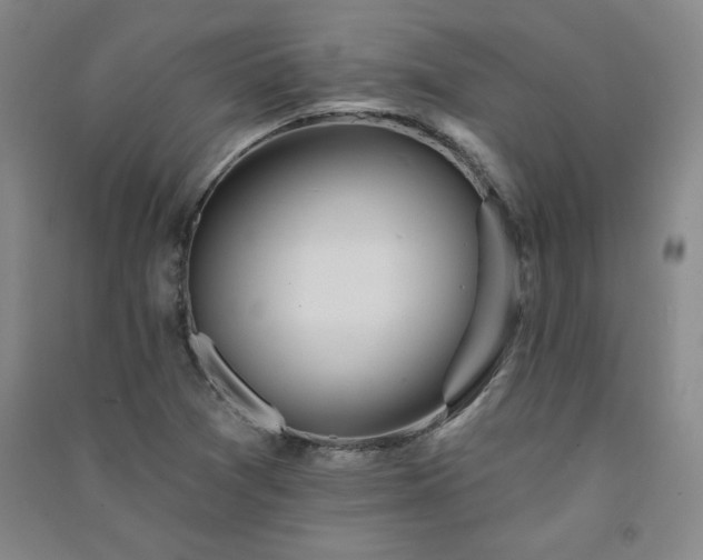 X0000091331361200708171342