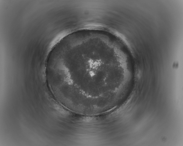 X0000091331362200708171342