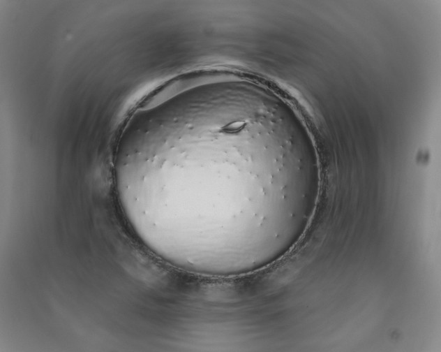 X0000091331363200708171342