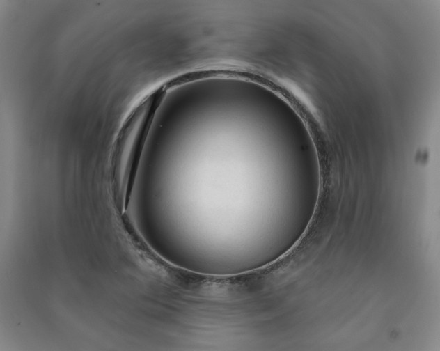 X0000091331364200708171342