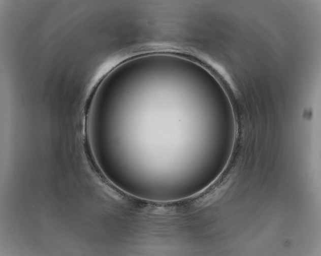 X0000091331365200708171342