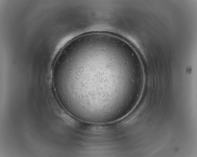 X0000091331366200708171342