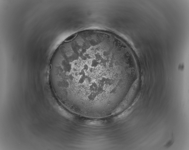 X0000091331367200708171342