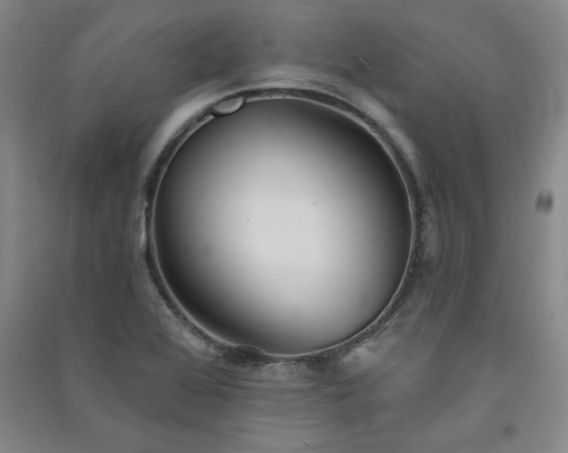 X0000091331368200708171342