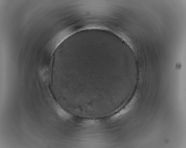 X0000091331369200708171342