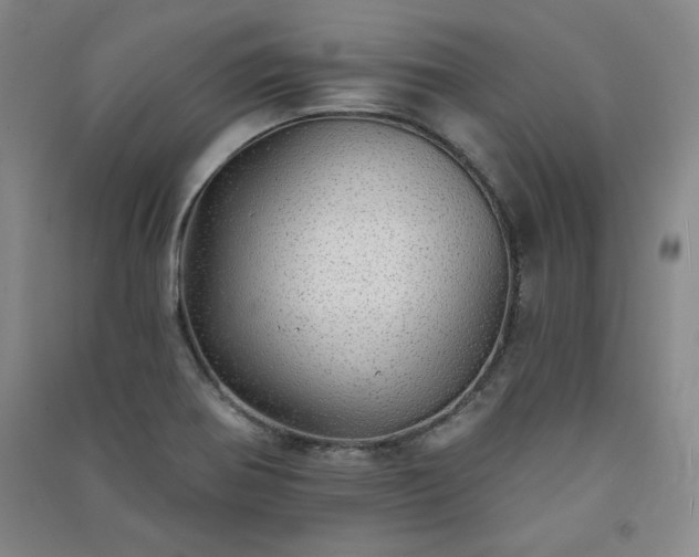 X0000091331370200708171342