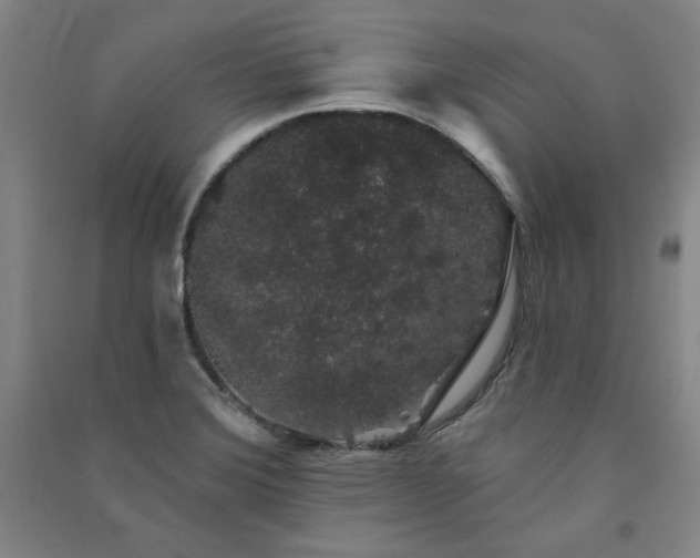 X0000091331372200708171342