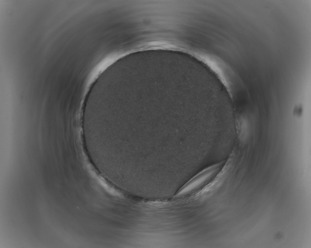 X0000091331373200708171342