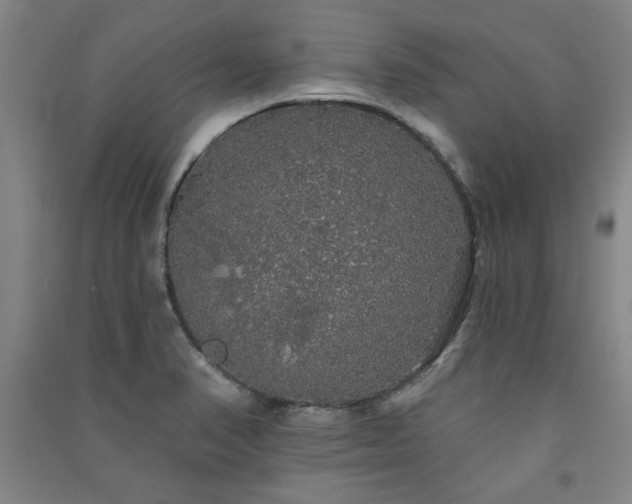 X0000091331374200708171342