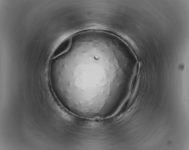 X0000091331375200708171342