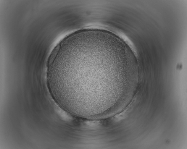 X0000091331376200708171342