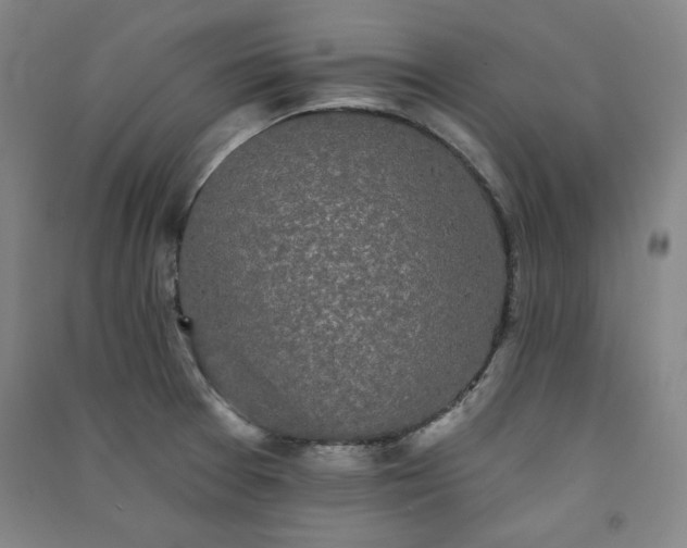 X0000091331377200708171342