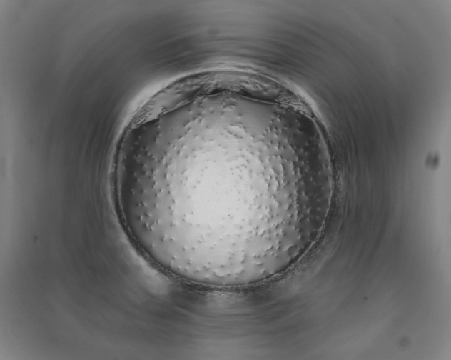 X0000091331379200708171342