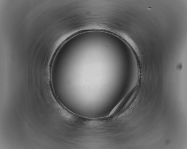 X0000091331380200708171342