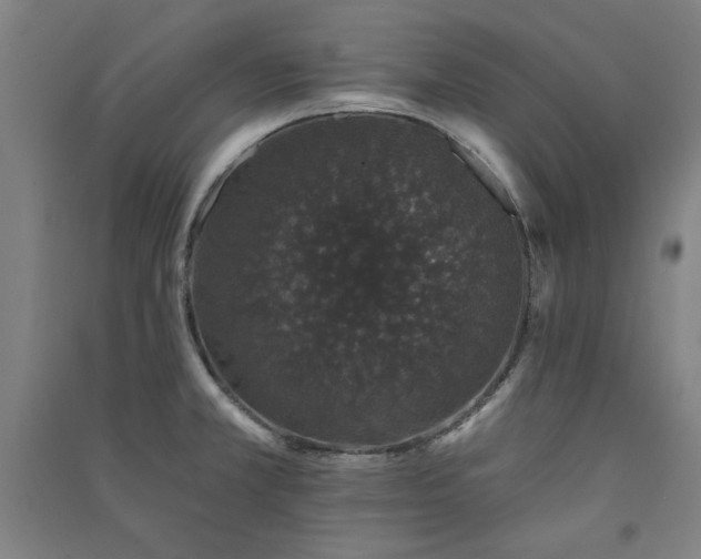 X0000091331381200708171342