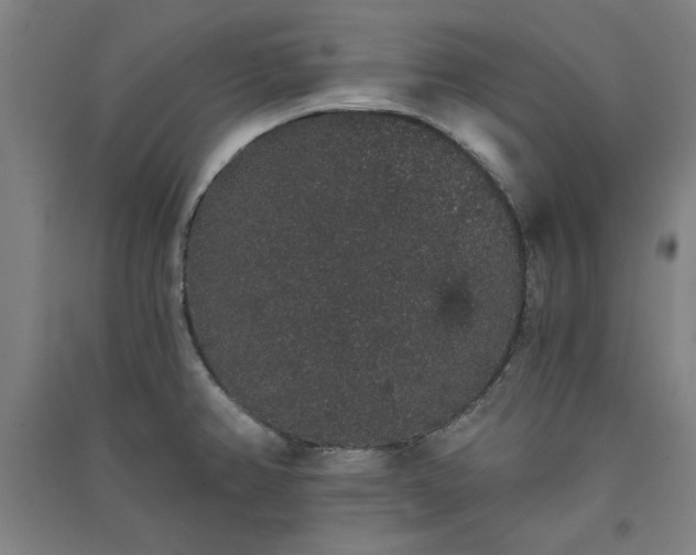 X0000091331382200708171342