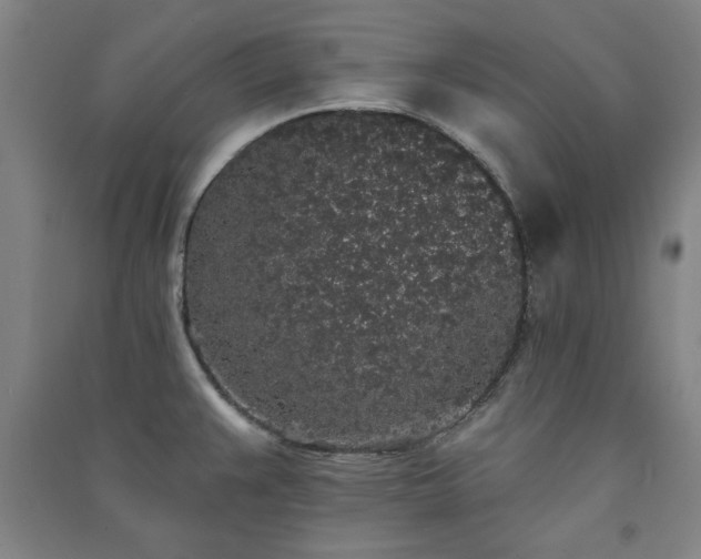 X0000091331383200708171342