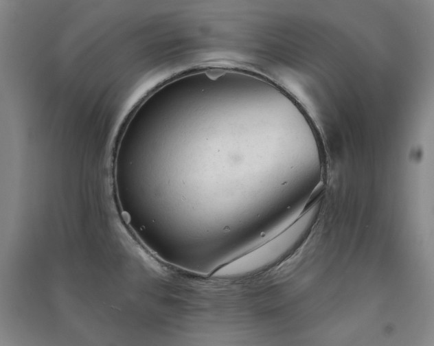 X0000091331384200708171342