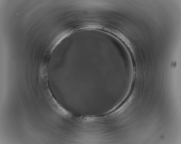 X0000091331385200708171342