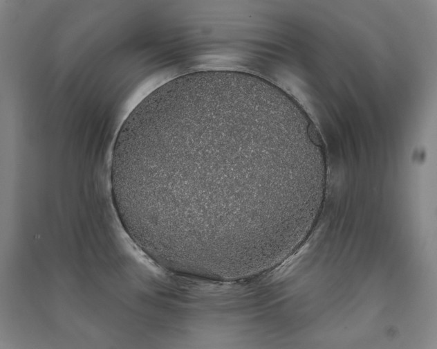 X0000091331386200708171342