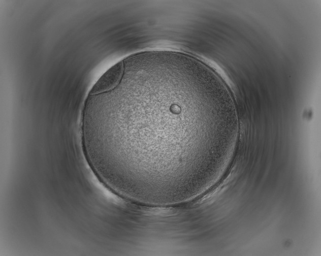 X0000091331387200708171342