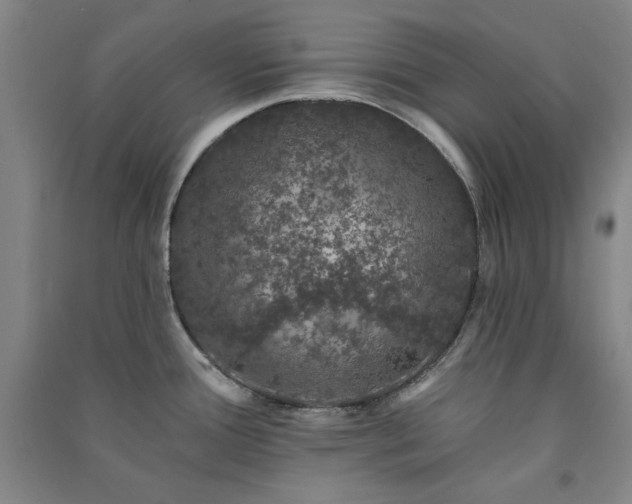 X0000091331388200708171342