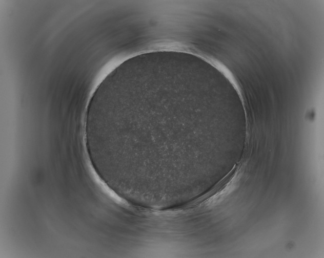 X0000091331389200708171342