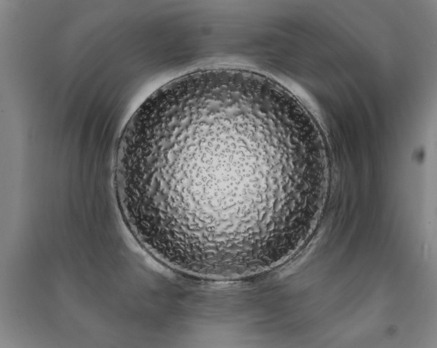 X0000091331390200708171342