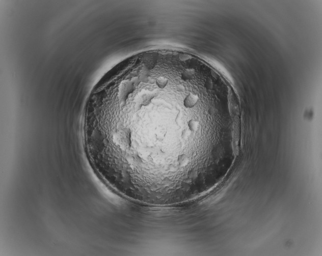 X0000091331391200708171342