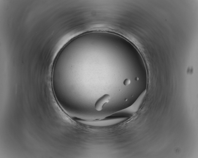 X0000091331392200708171342