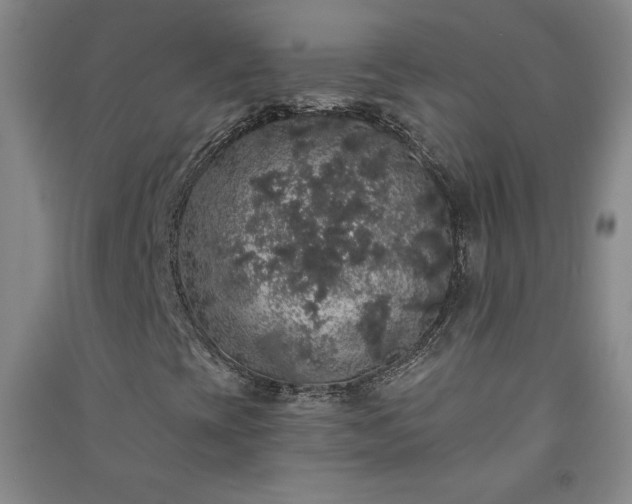 X0000091331393200708171341