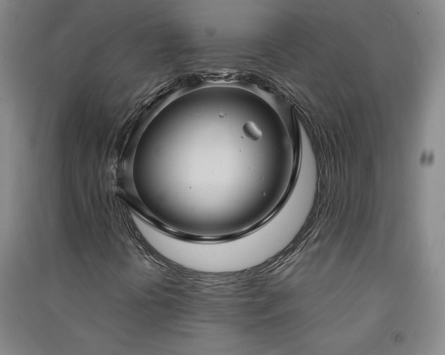 X0000091331394200708171341