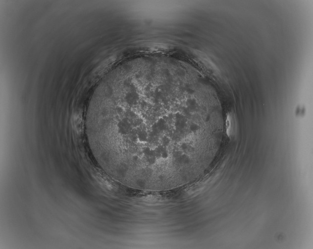 X0000091331395200708171341