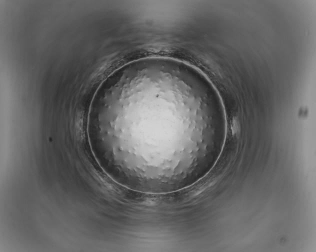 X0000091331396200708171341