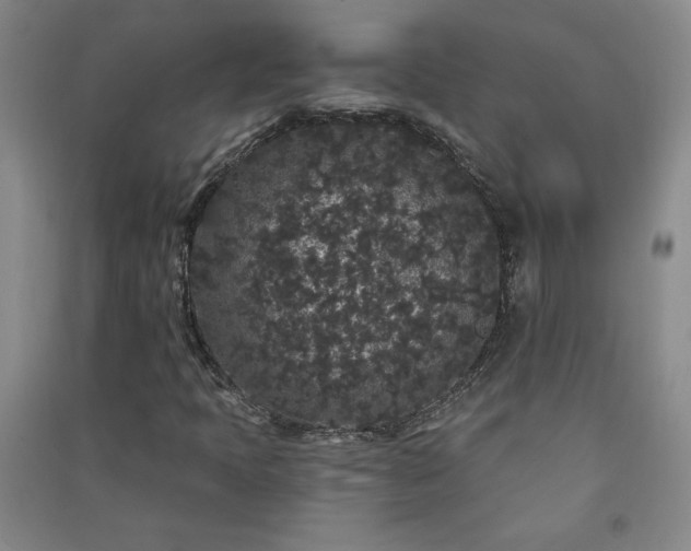 X0000091331397200708171341