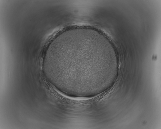 X0000091331398200708171341