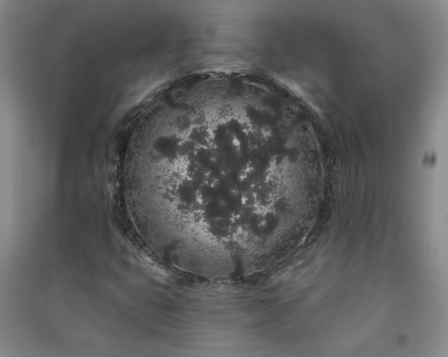 X0000091331399200708171341