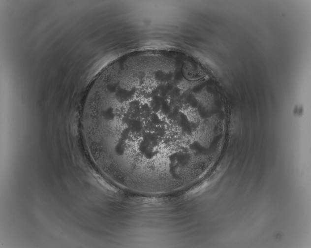 X0000091331401200708171341