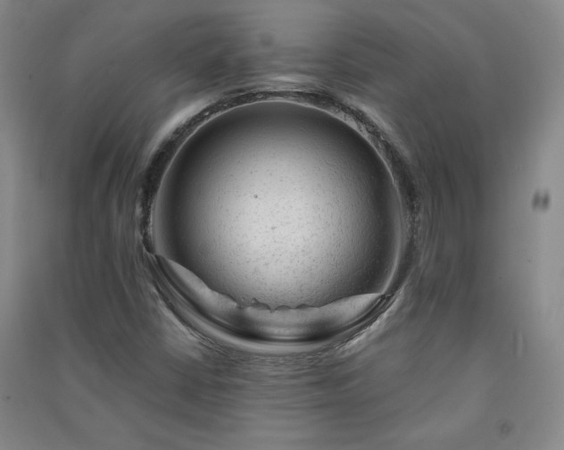 X0000091331402200708171341