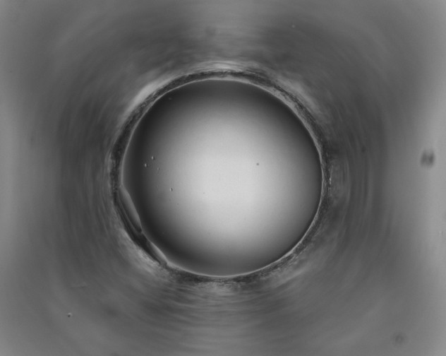 X0000091331404200708171341