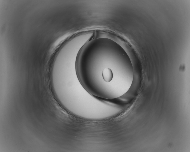 X0000091331406200708171341