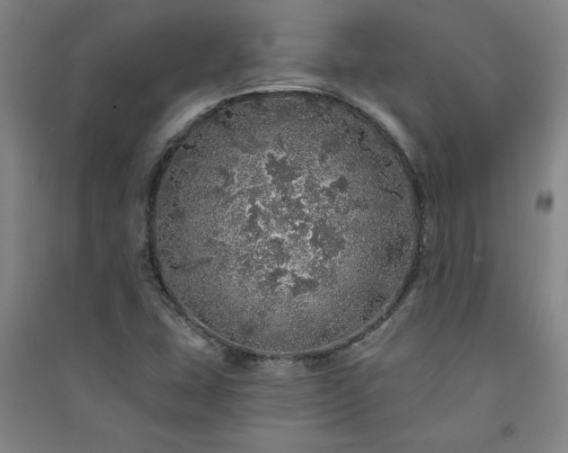 X0000091331407200708171341