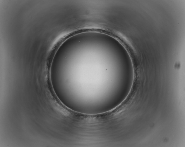 X0000091331408200708171341