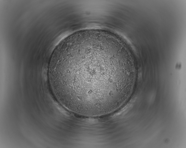 X0000091331409200708171341